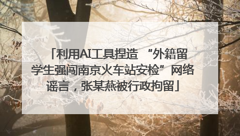 利用AI工具捏造 “外籍留学生强闯南京火车站安检”网络谣言，张某燕被行政拘留