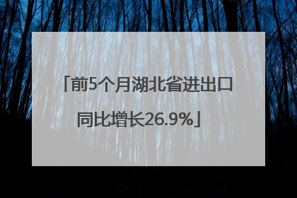 前5个月湖北省进出口同比增长26.9%