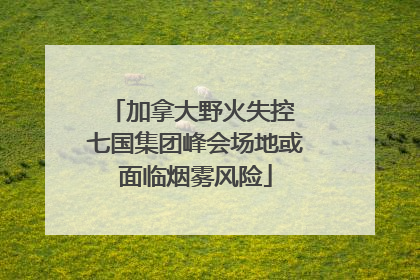 加拿大野火失控 七国集团峰会场地或面临烟雾风险