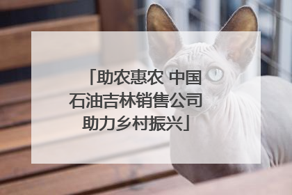 助农惠农 中国石油吉林销售公司助力乡村振兴
