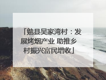 勉县吴家湾村：发展烤烟产业 助推乡村振兴富民增收