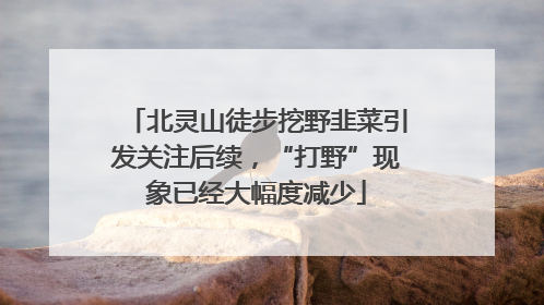北灵山徒步挖野韭菜引发关注后续，“打野”现象已经大幅度减少