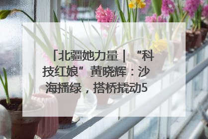 北疆她力量｜“科技红娘”黄晓辉：沙海播绿，搭桥撬动5.3亿研发