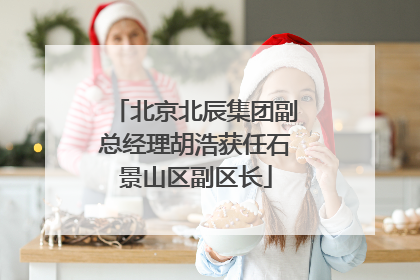 北京北辰集团副总经理胡浩获任石景山区副区长