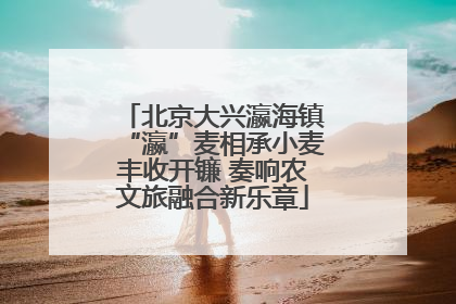 北京大兴瀛海镇“瀛”麦相承小麦丰收开镰 奏响农文旅融合新乐章