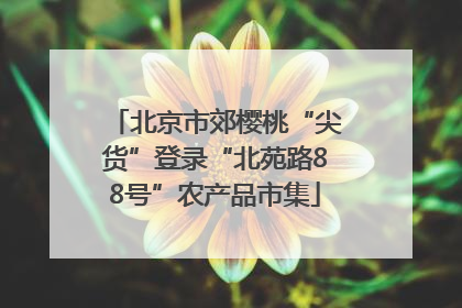 北京市郊樱桃“尖货”登录“北苑路88号”农产品市集