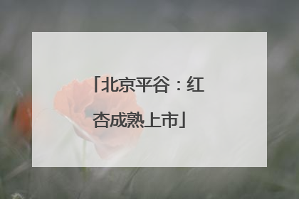 北京平谷：红杏成熟上市