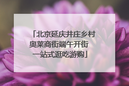 北京延庆井庄乡村奥莱商街端午开街 一站式逛吃游购