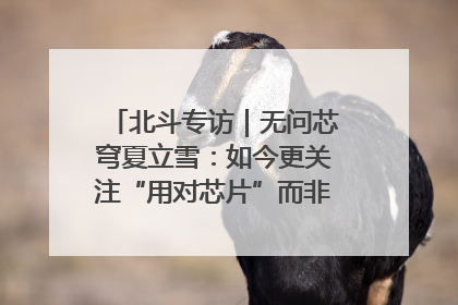 北斗专访｜无问芯穹夏立雪：如今更关注“用对芯片”而非“用贵芯片”