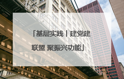 基层实践丨建党建联盟 聚振兴功能