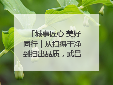 城事匠心 美好同行｜从扫得干净到扫出品质，武昌临江大道“洗”出洁净样板路