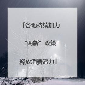 各地持续加力“两新”政策 释放消费潜力