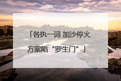 各执一词 加沙停火方案陷“罗生门”