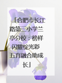 合肥市长江路第三小学兰亭分校：榜样闪耀绽光彩 五育融合助成长