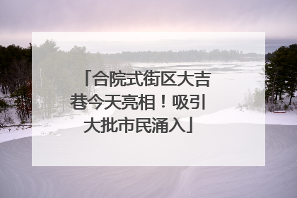 合院式街区大吉巷今天亮相！吸引大批市民涌入