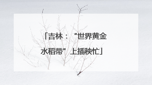 吉林：“世界黄金水稻带”上插秧忙