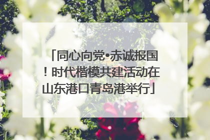 同心向党•赤诚报国！时代楷模共建活动在山东港口青岛港举行