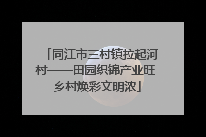 同江市三村镇拉起河村——田园织锦产业旺 乡村焕彩文明浓