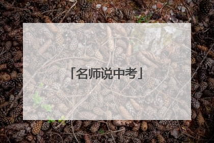 名师说中考