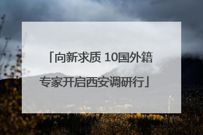 向新求质 10国外籍专家开启西安调研行