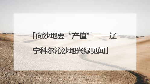 向沙地要“产值”——辽宁科尔沁沙地兴绿见闻