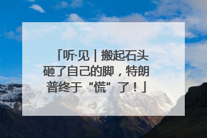 听·见｜搬起石头砸了自己的脚，特朗普终于“慌”了！