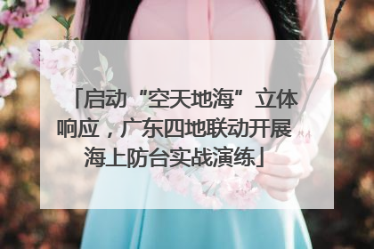 启动“空天地海”立体响应，广东四地联动开展海上防台实战演练