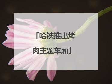哈铁推出烤肉主题车厢