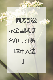 商务部公示全国试点名单，江苏一城市入选