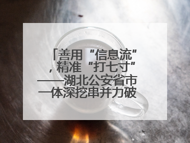 善用“信息流”，精准“打七寸”——湖北公安省市一体深挖串并力破民生案