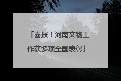 喜报！河南文物工作获多项全国表彰