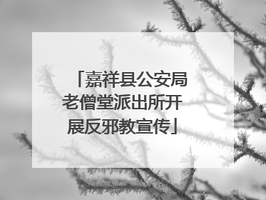 嘉祥县公安局老僧堂派出所开展反邪教宣传