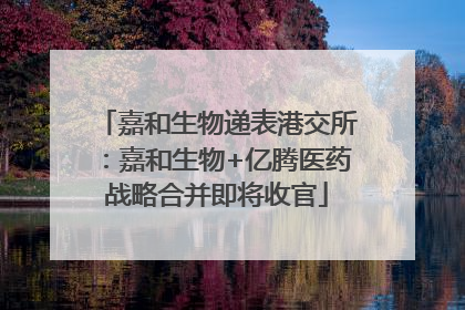 嘉和生物递表港交所：嘉和生物+亿腾医药战略合并即将收官