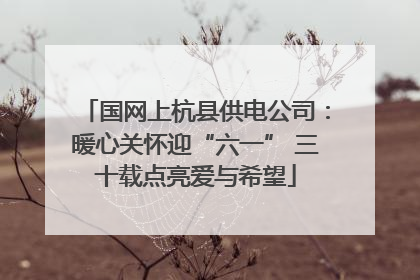 国网上杭县供电公司：暖心关怀迎“六一” 三十载点亮爱与希望
