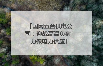 国网五台供电公司：迎战高温负荷 力保电力供应