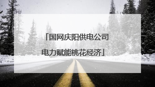 国网庆阳供电公司电力赋能桃花经济
