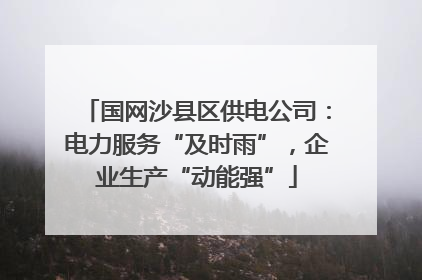 国网沙县区供电公司：电力服务“及时雨”，企业生产“动能强”