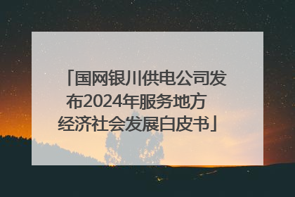 国网银川供电公司发布2024年服务地方经济社会发展白皮书