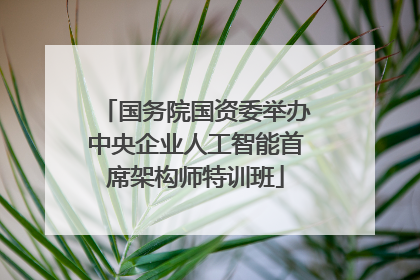国务院国资委举办中央企业人工智能首席架构师特训班