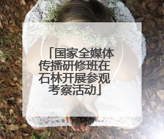 国家全媒体传播研修班在石林开展参观考察活动