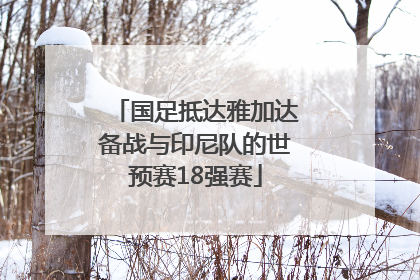 国足抵达雅加达备战与印尼队的世预赛18强赛