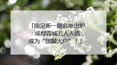 国足新一期名单出炉：成都蓉城五人入选，成为“国脚大户”！