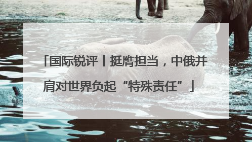 国际锐评丨挺膺担当，中俄并肩对世界负起“特殊责任”