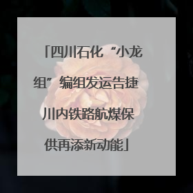 四川石化“小龙组”编组发运告捷 川内铁路航煤保供再添新动能