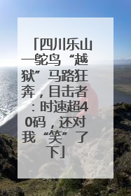 四川乐山一鸵鸟“越狱”马路狂奔，目击者：时速超40码，还对我“笑”了下