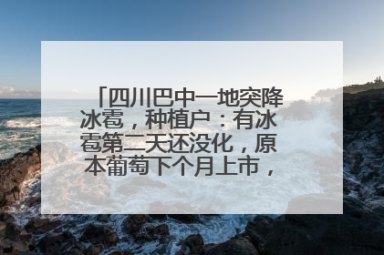 四川巴中一地突降冰雹，种植户：有冰雹第二天还没化，原本葡萄下个月上市，现在全被打落