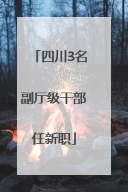 四川3名副厅级干部任新职