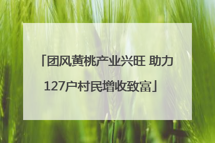 团风黄桃产业兴旺 助力127户村民增收致富