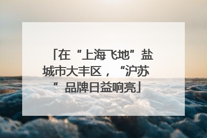 在“上海飞地”盐城市大丰区，“沪苏”品牌日益响亮