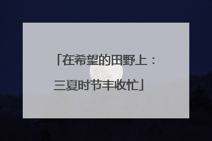 在希望的田野上：三夏时节丰收忙